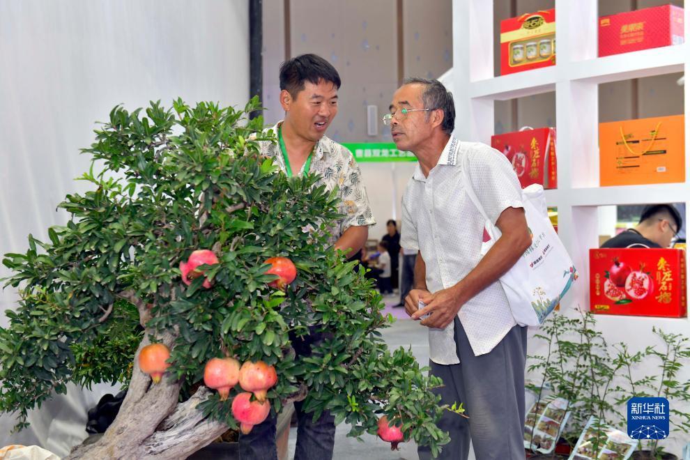 宇恒娱乐